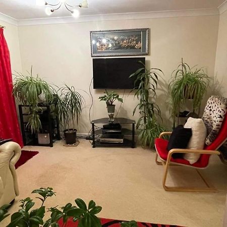 Cozy Homestay Croydon Exterior foto