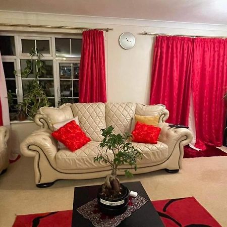 Cozy Homestay Croydon Exterior foto