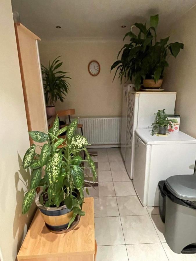 Cozy Homestay Croydon Exterior foto